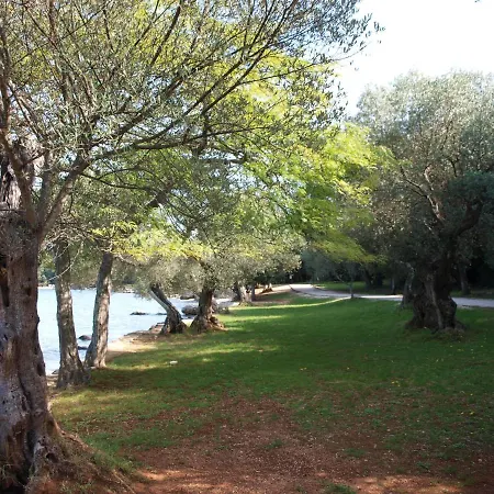 Apartman 36
